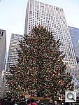 Click to see ychristmastree.jpg