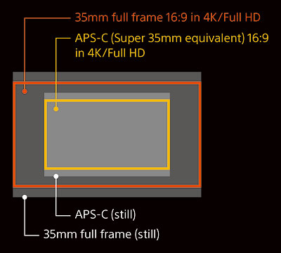 Sony A7S review -- Comparison of the Sony A7S' sensor size