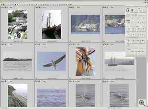 Kodak's DCS PhotoDesk software, browsing images. Click  for a bigger picture!