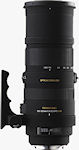 Sigma's APO 150-500mm F5-6.3 DG OS HSM lens. Courtesy of Sigma, with modifications by Michael R. Tomkins.
