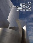 Peter iNova's SONY Advanced Cyber-shot eBook. Courtesy of Peter iNova, with modifications by Michael R. Tomkins.