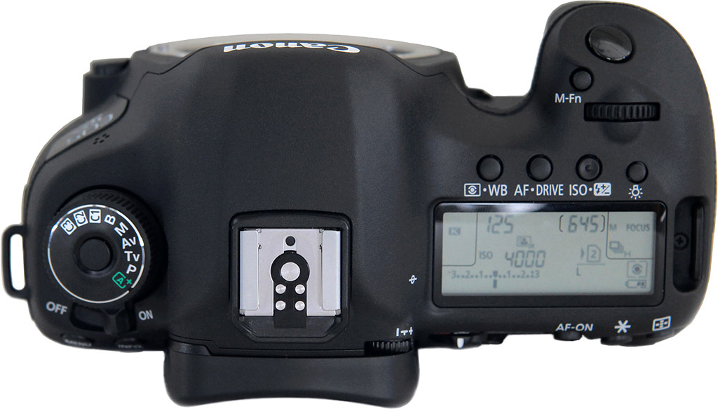 Faial verlamming Aardrijkskunde Canon 5D Mark III Review