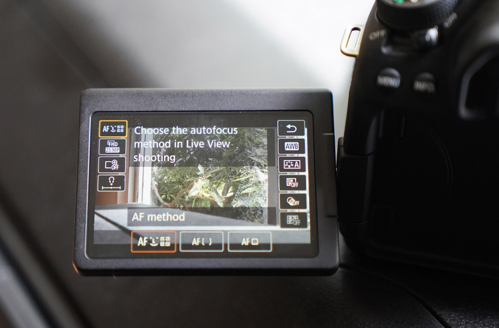 Verraad uitbreiden schending Canon 80D Review - Video