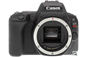 image of Canon EOS Rebel SL2 (EOS 200D)