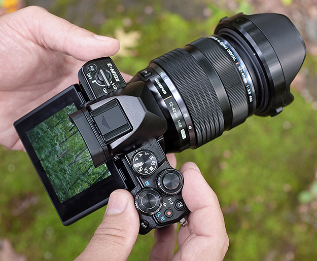 Olympus E-M10 II Review - Field Test Part I