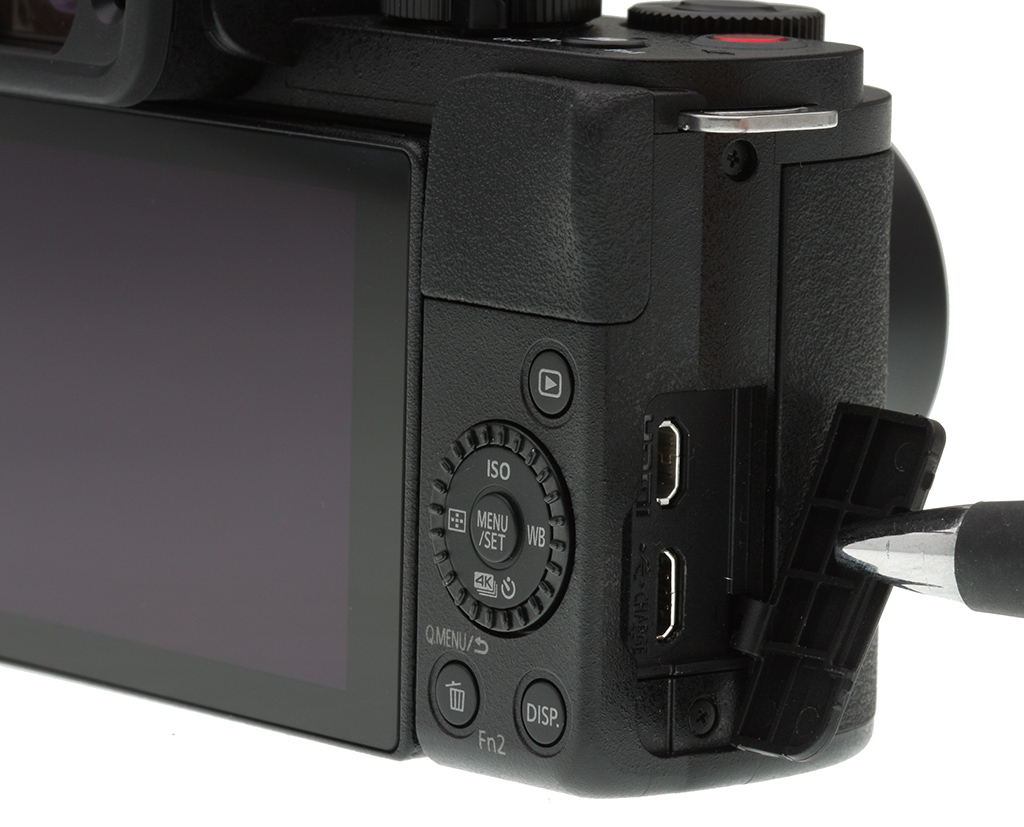 Panasonic LUMIX G100 Digital Camera Sample Photos and Specifications