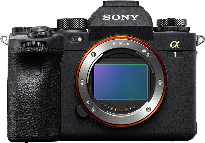 700px x 491px - Sony A1 Review
