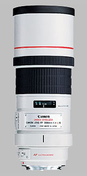 Canon EF 300mm f/4L IS USM Review