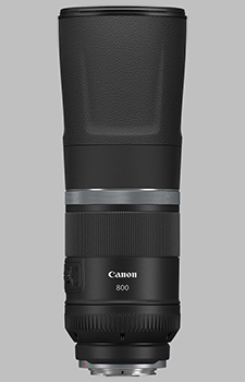 Canon RF 800mm f/11 IS STM Review